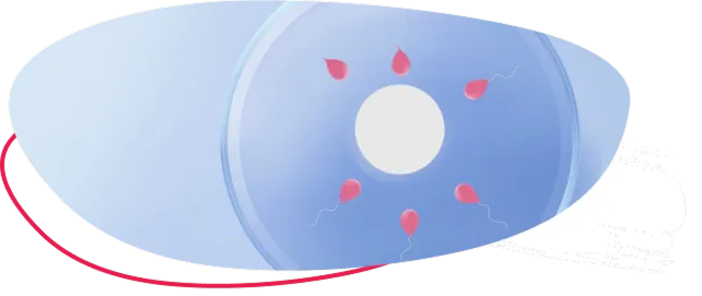 Stylized graphic of an egg and sperm