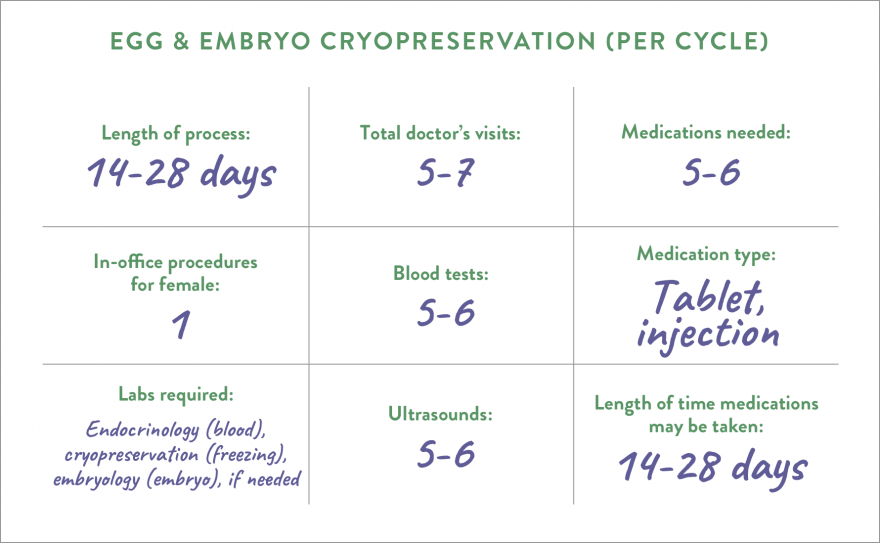 Egg & Embryo Cryopreservation (Per Cycle)