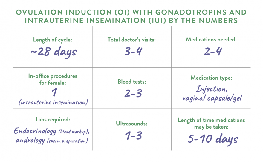 IUI by the numbers