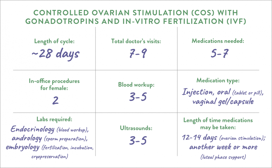 IVF by the numbers