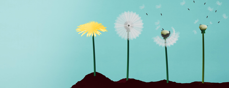 The truth about female infertility