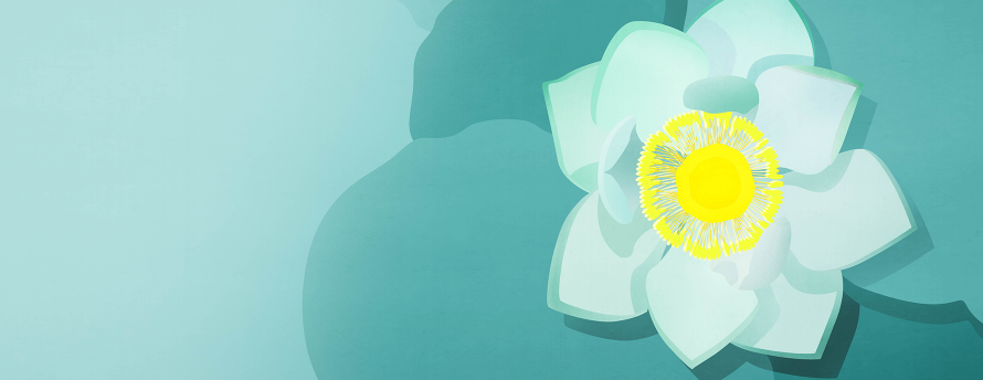 Genetic counseling: Is it for you?