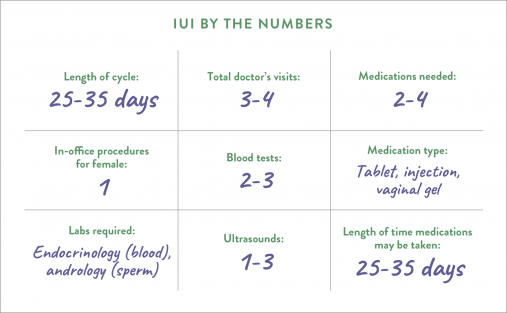IUI by the numbers