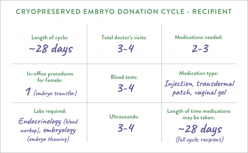 Donor embryo cycle by the numbers