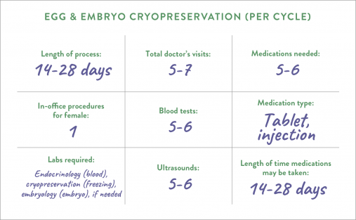 Egg & Embryo Cryopreservation (Per Cycle)